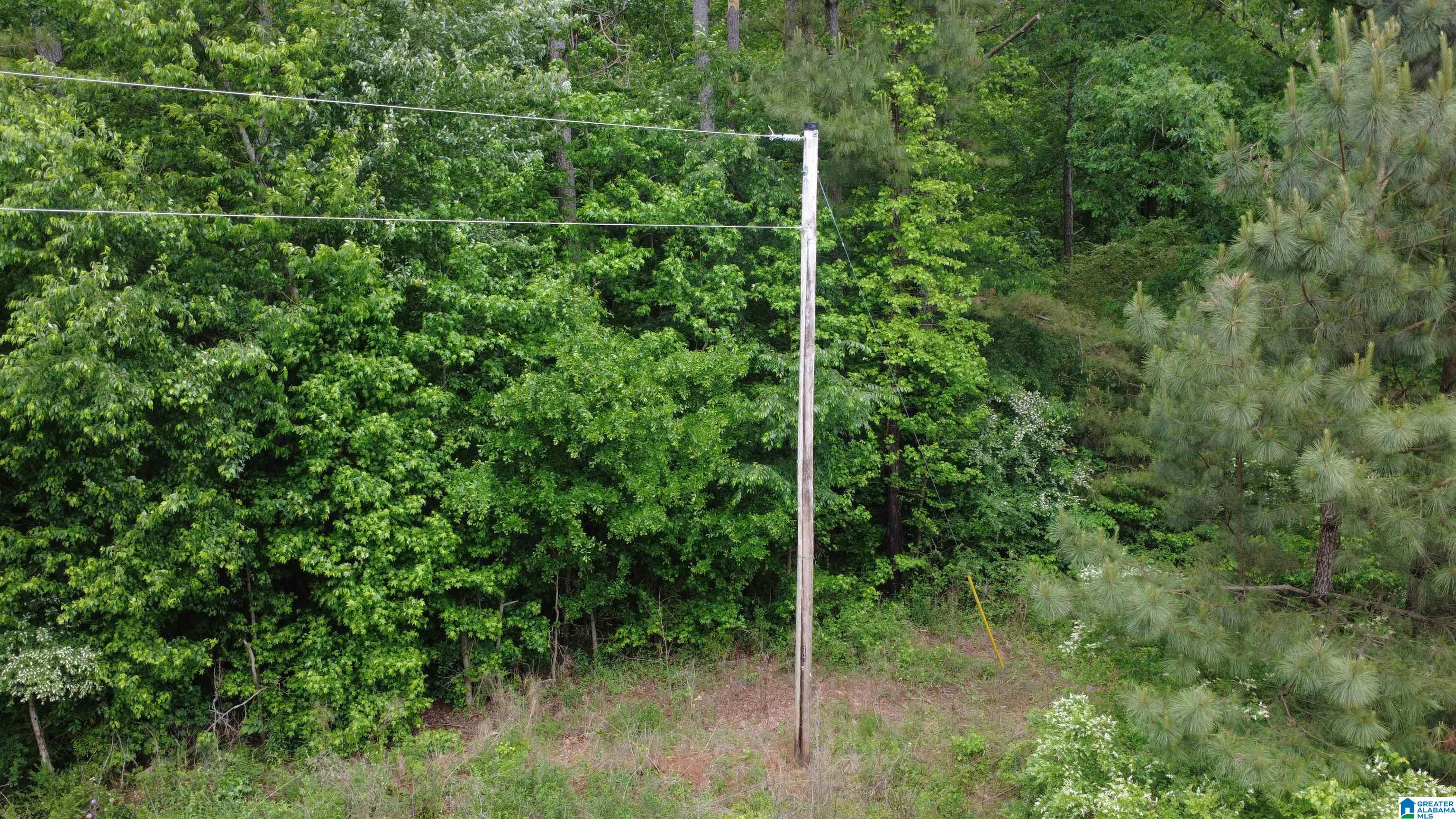 Unkn Highland Road, Unit 9 1 ACRES Lineville, AL 36266 - Photo 4 of 6