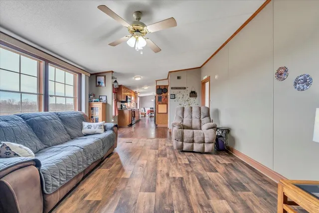 a view of a yard with a tree