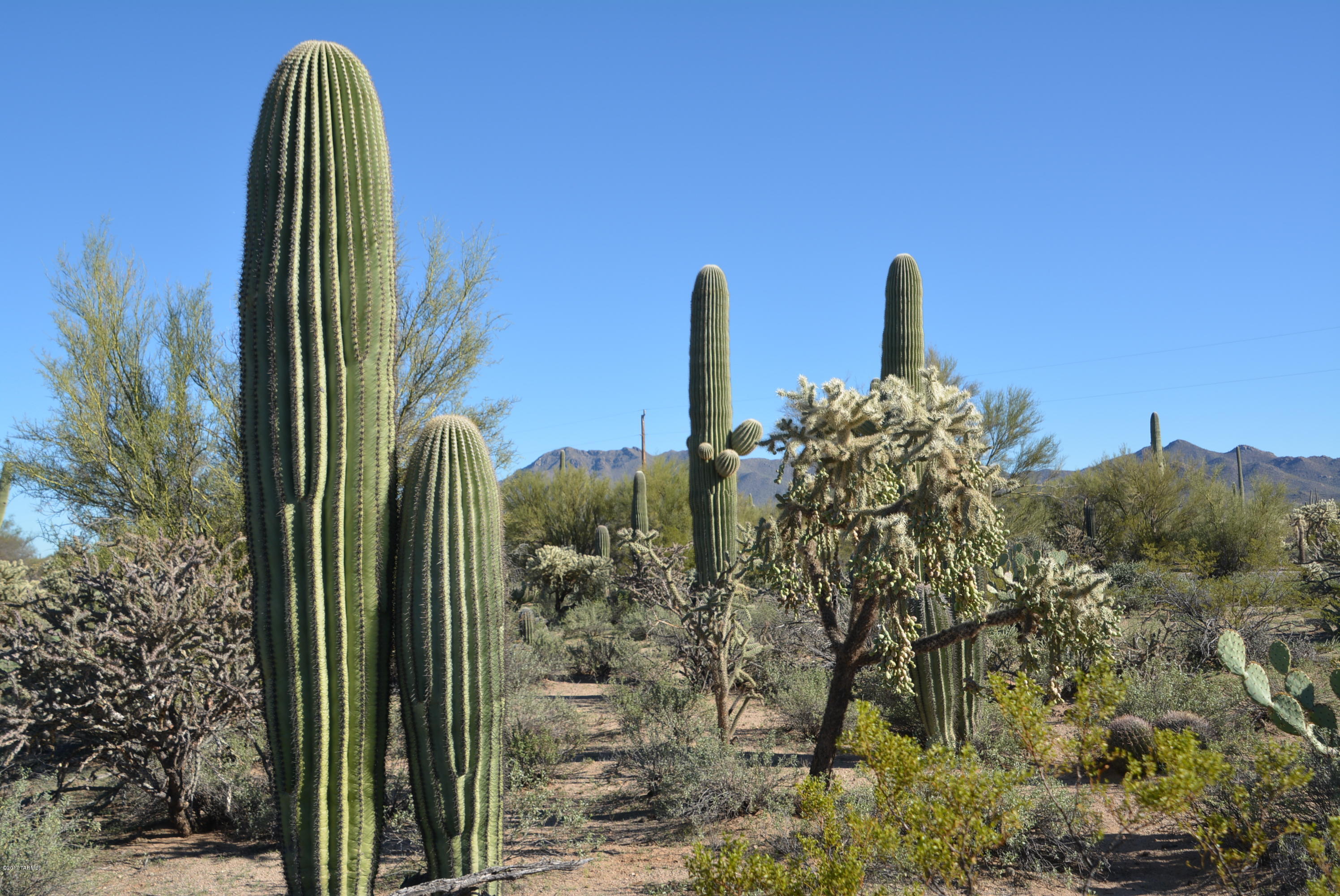 11700 West Rudasill Road, Unit LOT 3 Tucson, AZ 85743 - Photo 20 of 33 Gallery Image 20