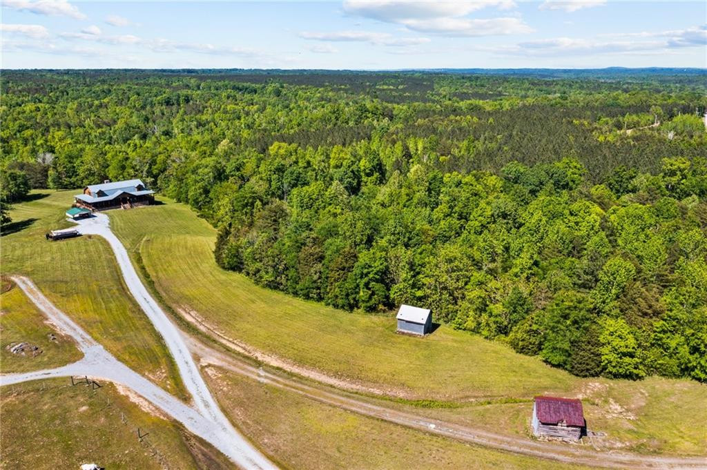 1103 Roxboro Lake Road Leasburg, NC 27291 - Photo 16 of 36 Gallery Image 16