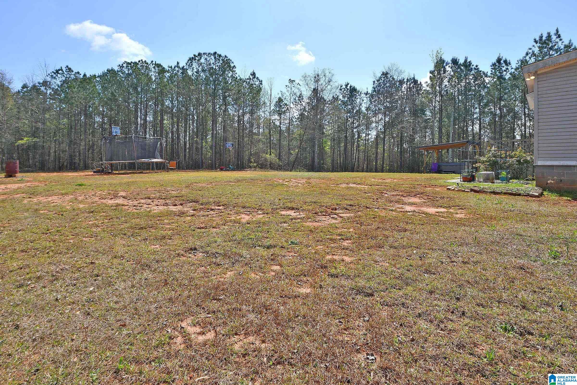 871 County Road 75 Wedowee, AL 36278 - Photo 10 of 50