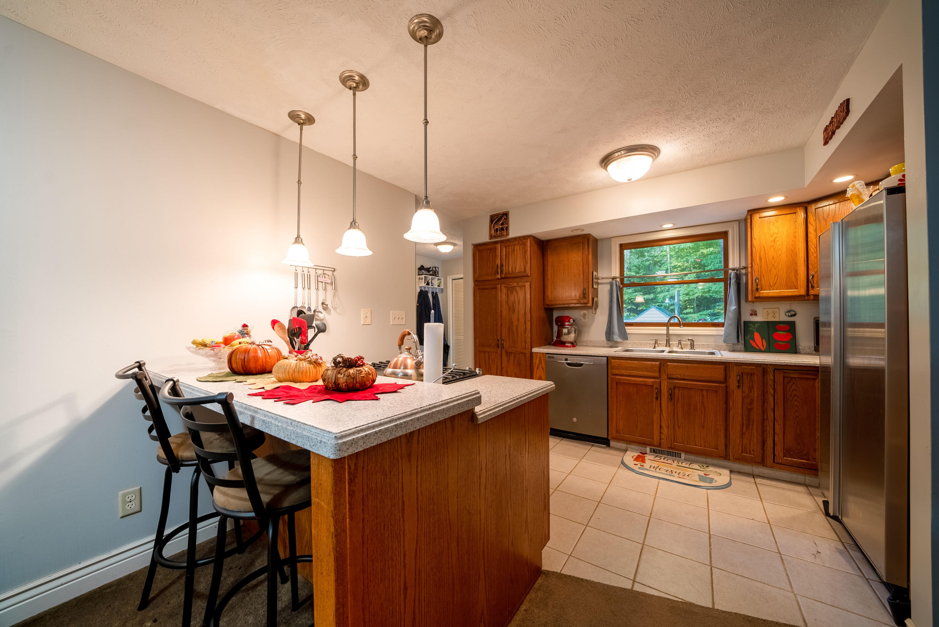 Undisclosed Address Newaygo, MI 49337 - Photo 11 of 29 15. Kitchen 3