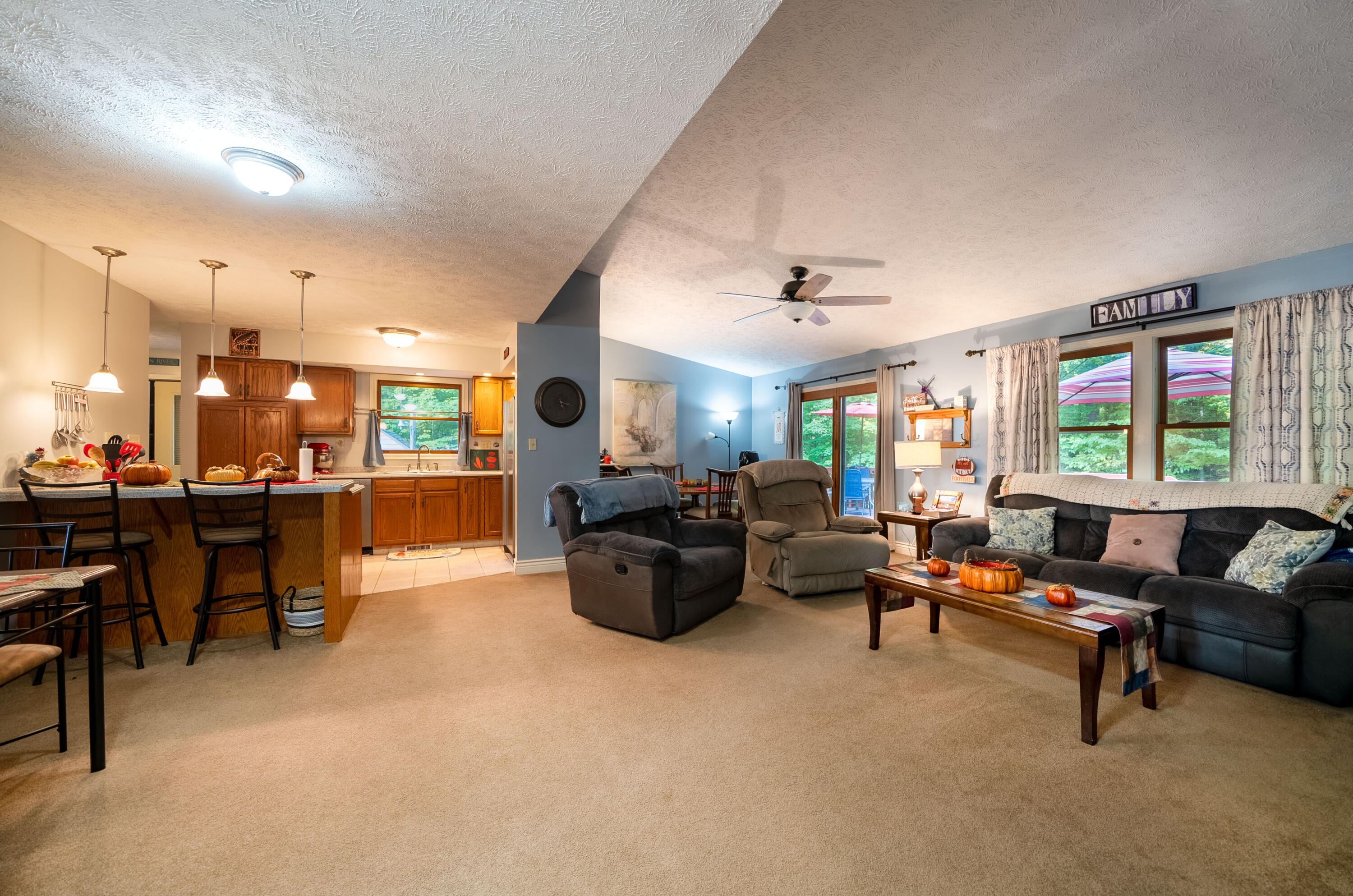 Undisclosed Address Newaygo, MI 49337 - Photo 12 of 29 16. Living Room 1