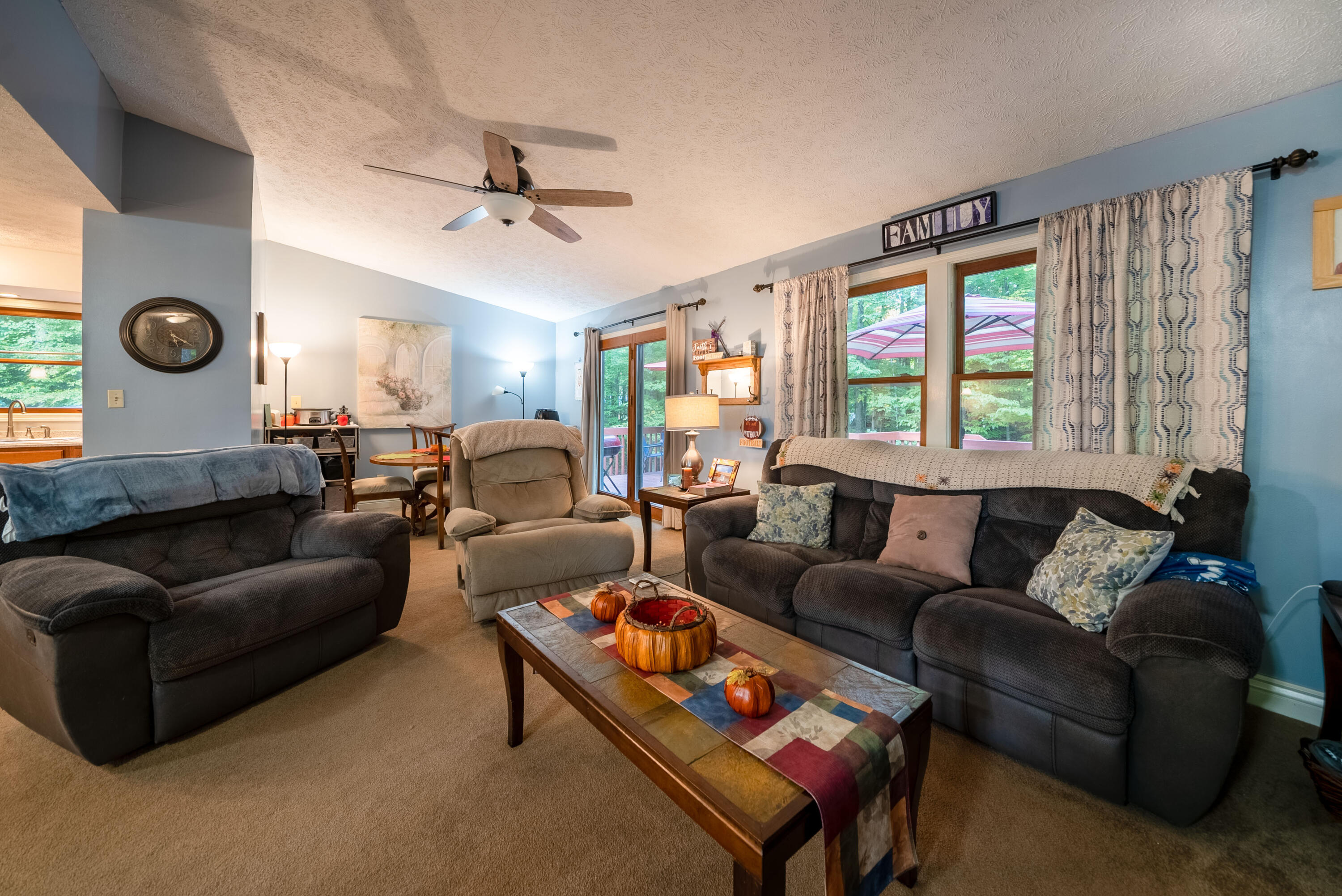 Undisclosed Address Newaygo, MI 49337 - Photo 14 of 29 18. Living Room 3