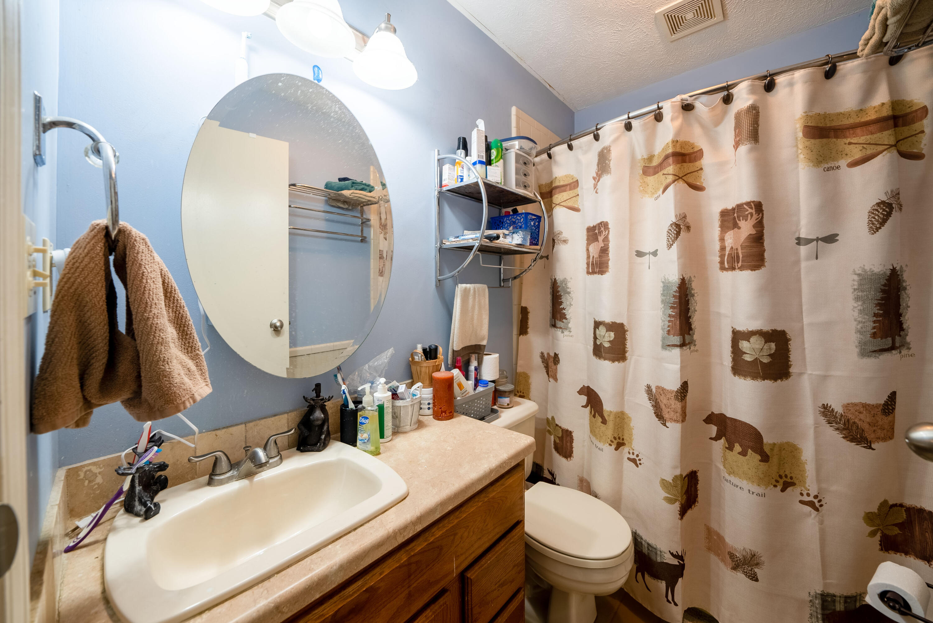 Undisclosed Address Newaygo, MI 49337 - Photo 17 of 29 28. On Suite Bathroom
