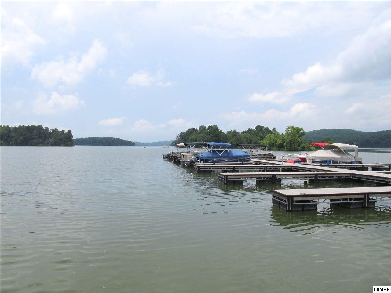 206 Reuben Ridge Road Rockwood, TN 37854 - Photo 20 of 21