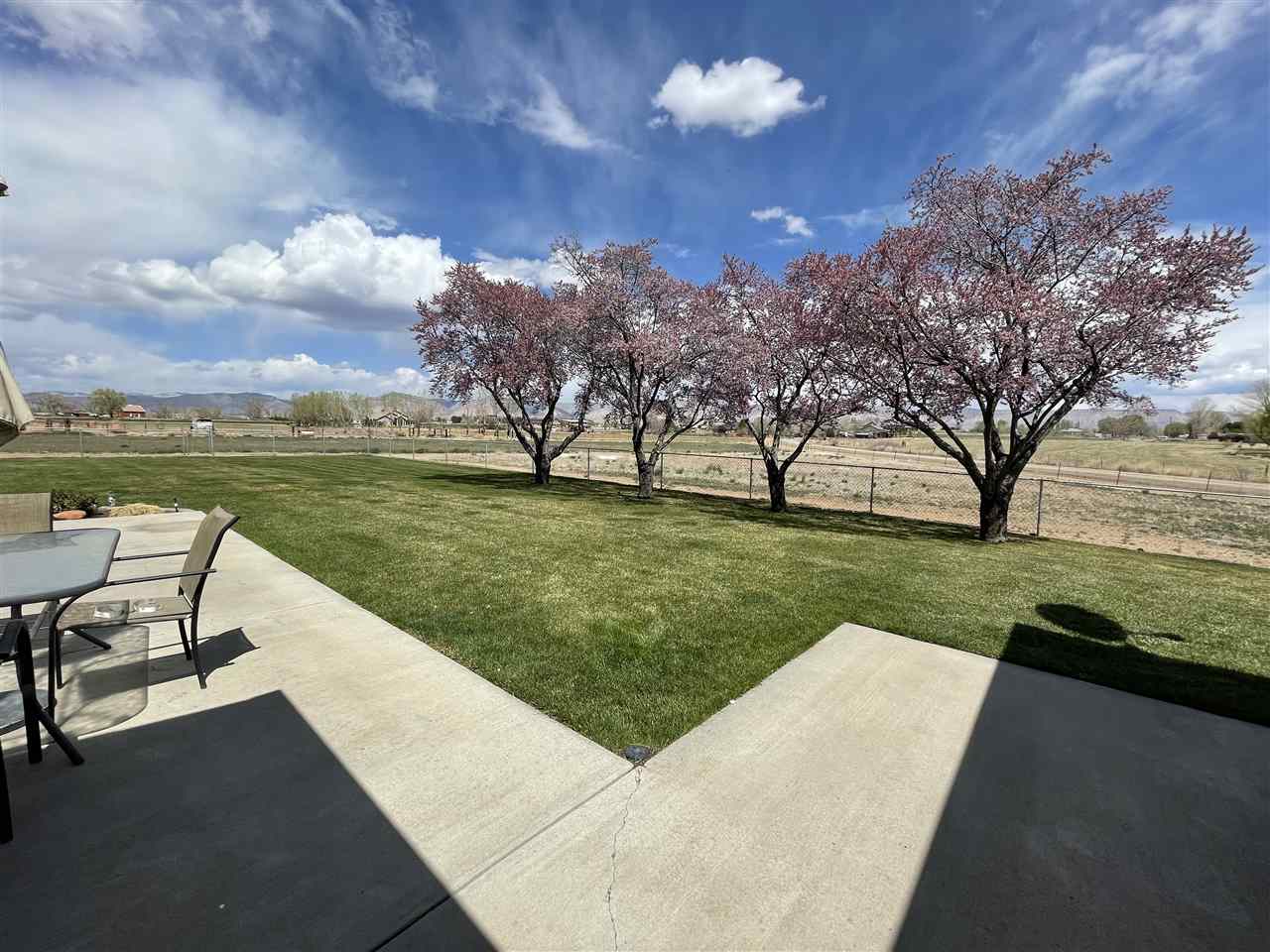1144 23 Road Grand Junction, CO 81505 - Photo 7 of 29 a view of a garden and lake