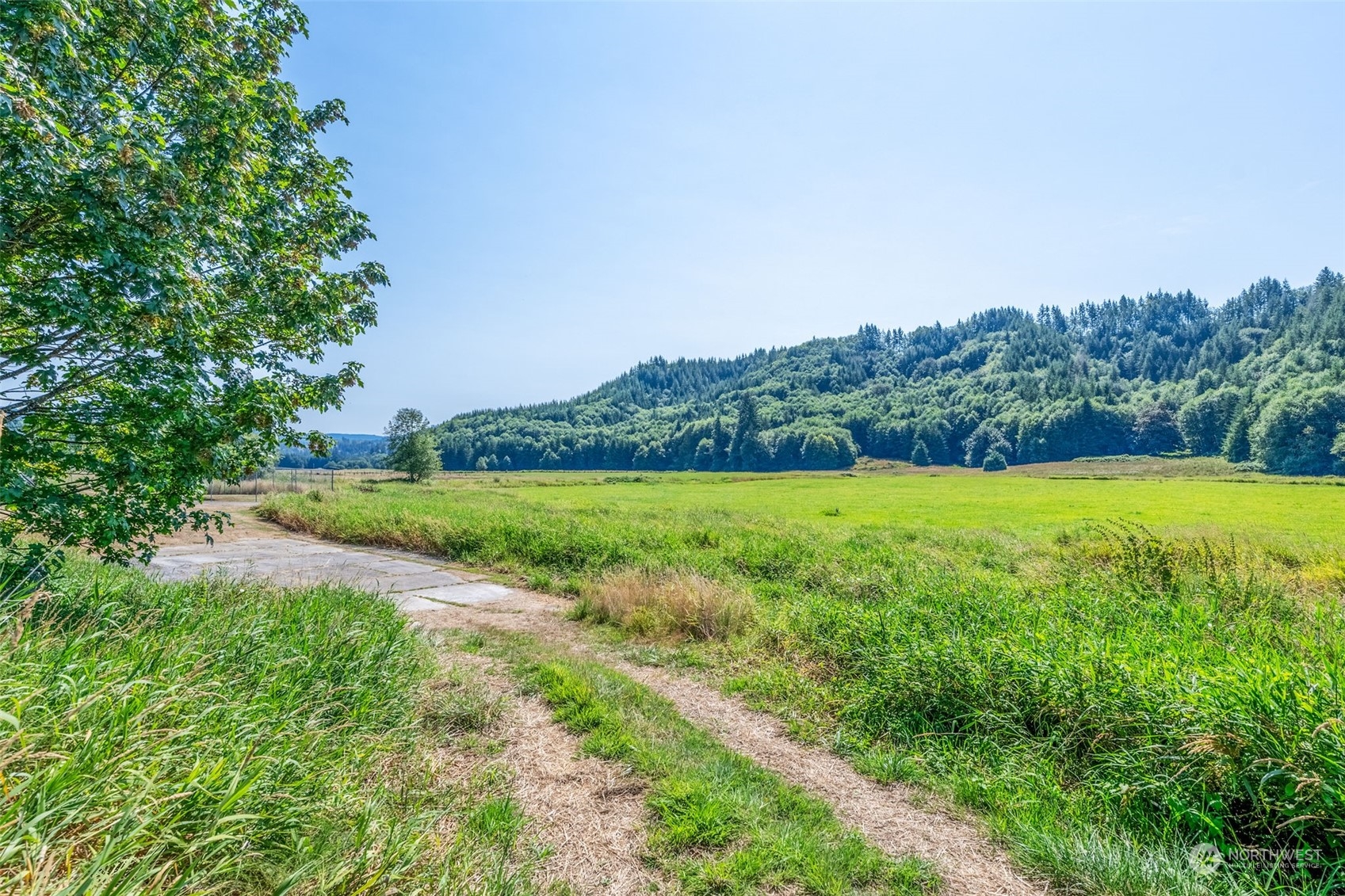 628 East Valley Road Skamokawa, WA 98647 - Photo 37 of 39 a view of a garden with a building in the background