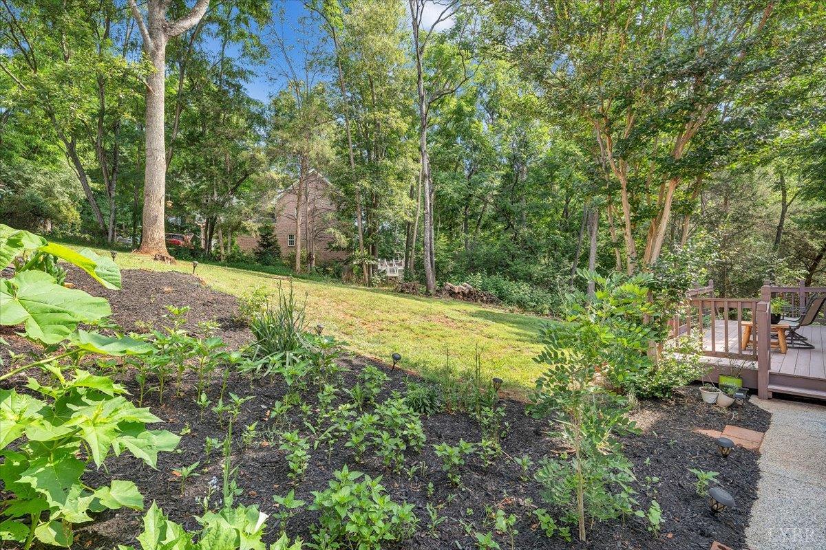 209 Quail Ridge Drive Forest, VA 24551 - Photo 45 of 67