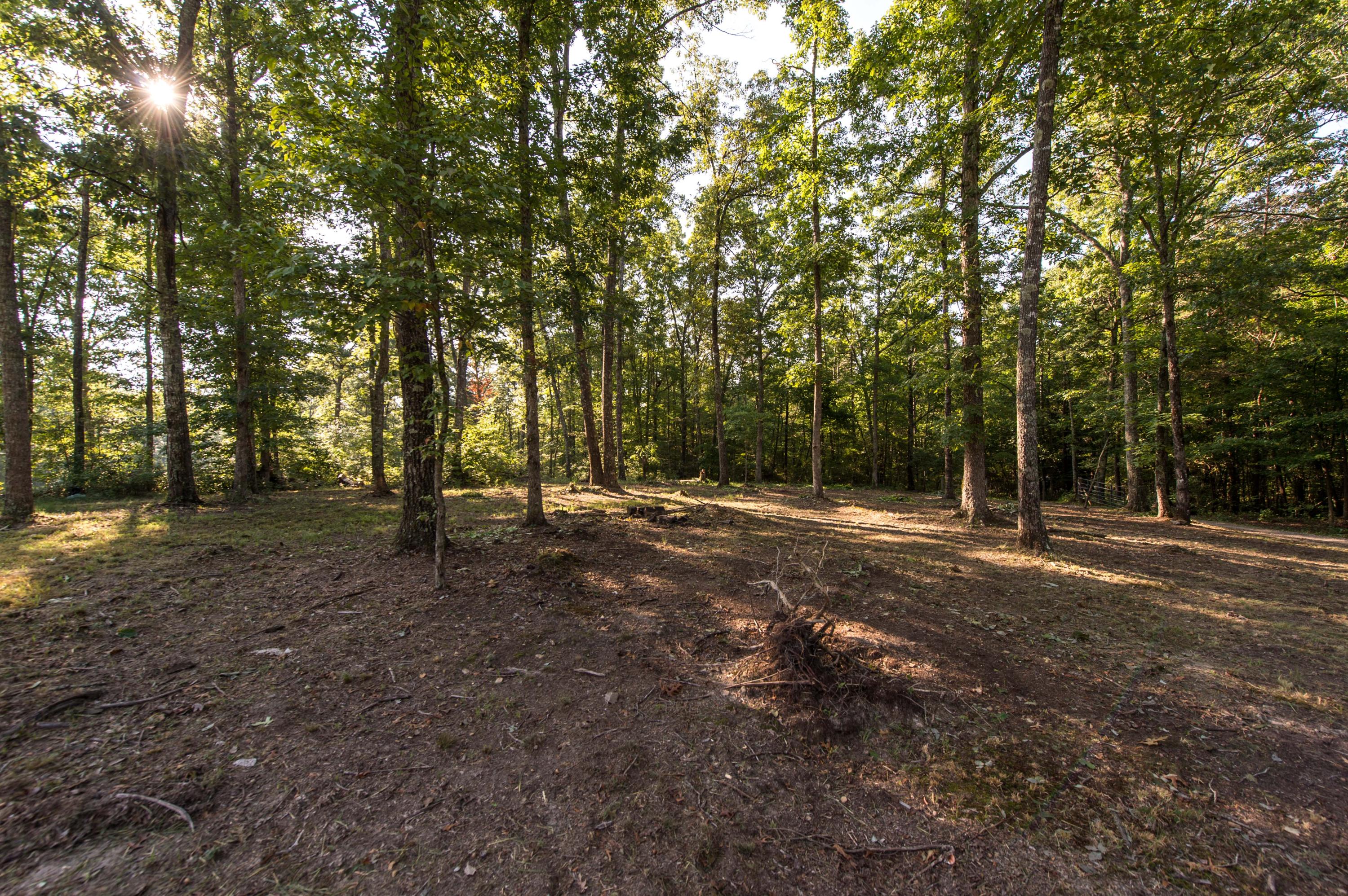 1768 Jim Stewart Road Dunlap, TN 37327 - Photo 24 of 29 _MG17635
