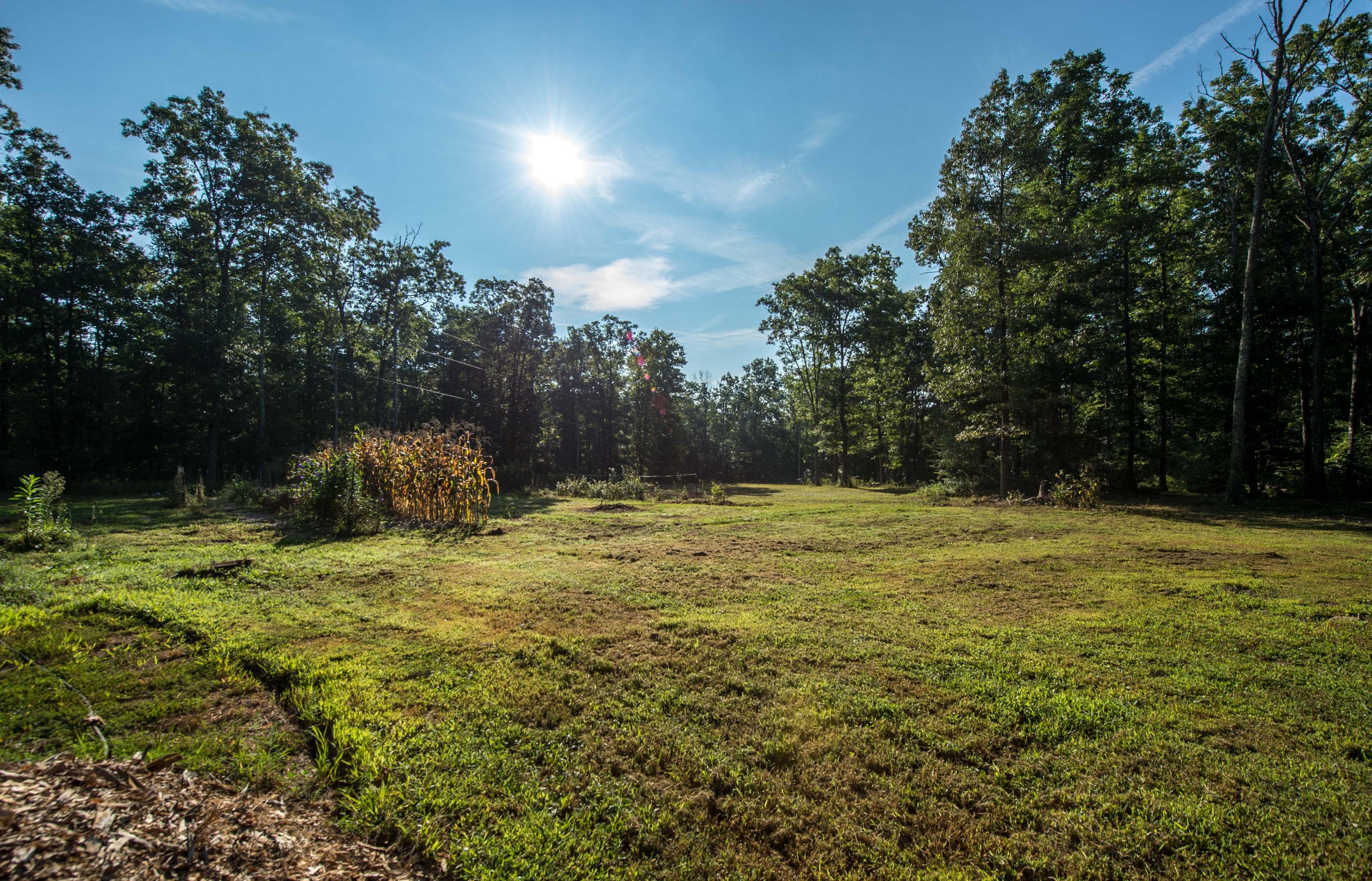 1768 Jim Stewart Road Dunlap, TN 37327 - Photo 26 of 29 Acreage