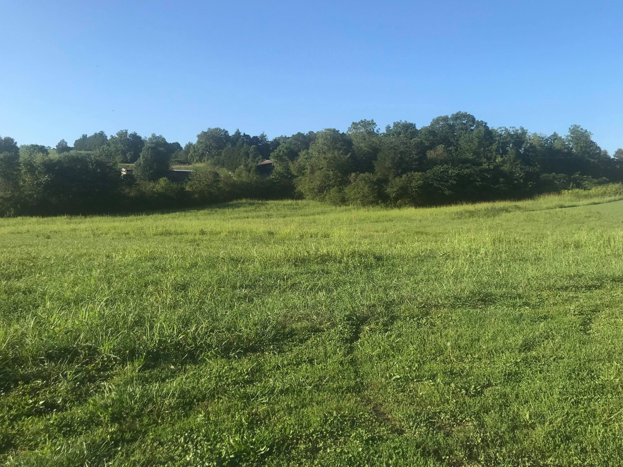 0 Hickory Valley Road Maynardville, TN 37807 - Photo 3 of 5 Gallery Image 3