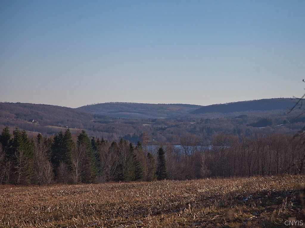 Lot 4 Hall Road Erieville, NY 13061 - Photo 1 of 1 Gallery Image 1