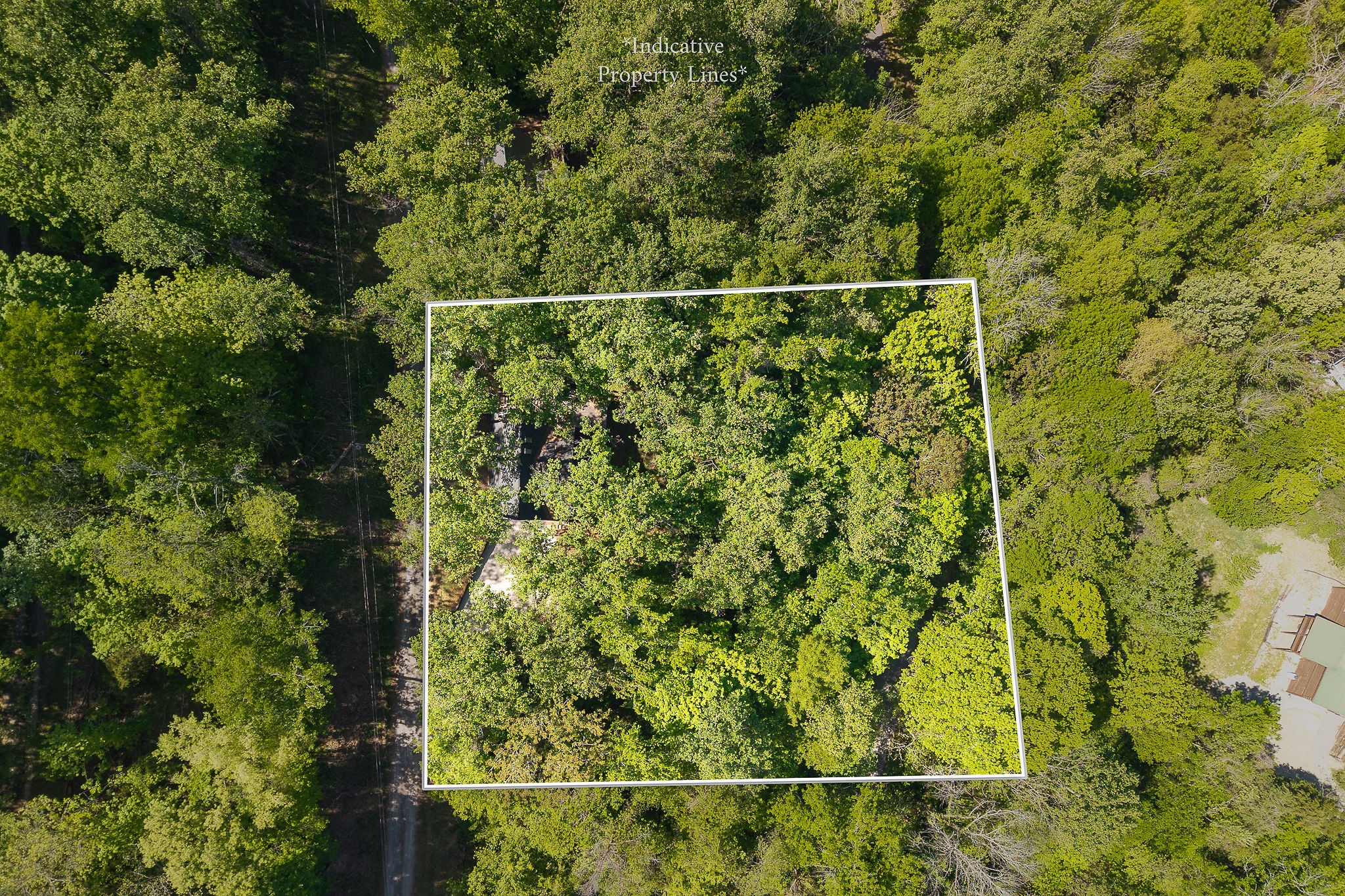 280 Hurricane Hill Silver Point, TN 38582 - Photo 36 of 46