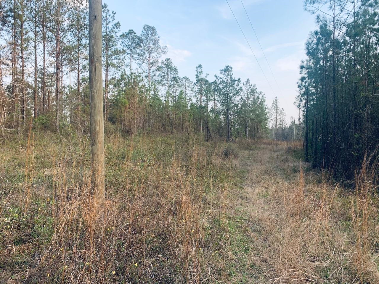 23180 Lonnie Hadley Road Perdido, AL 36562 - Photo 5 of 11