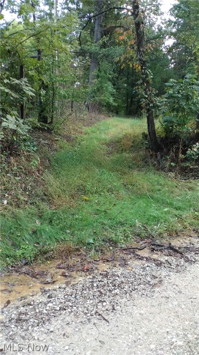 2 Gooseneck Run Road Walker, WV 26180 - Photo 5 of 22