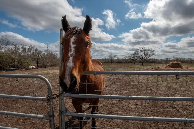 $574,000 | 115 Horseshoe Drive, Mathis, TX 78368