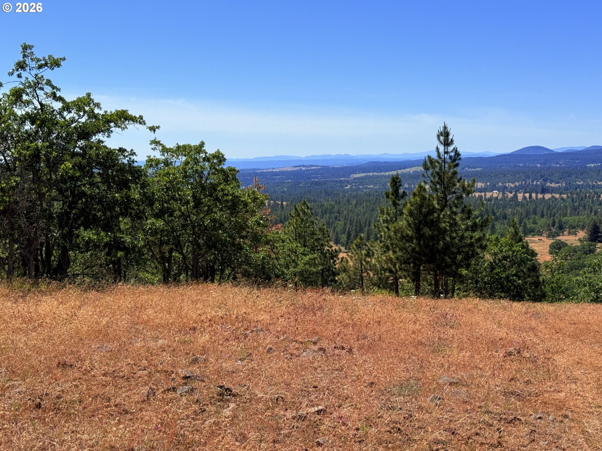 238 Chisholm Road Goldendale, WA 98620 - Photo 24 of 42
