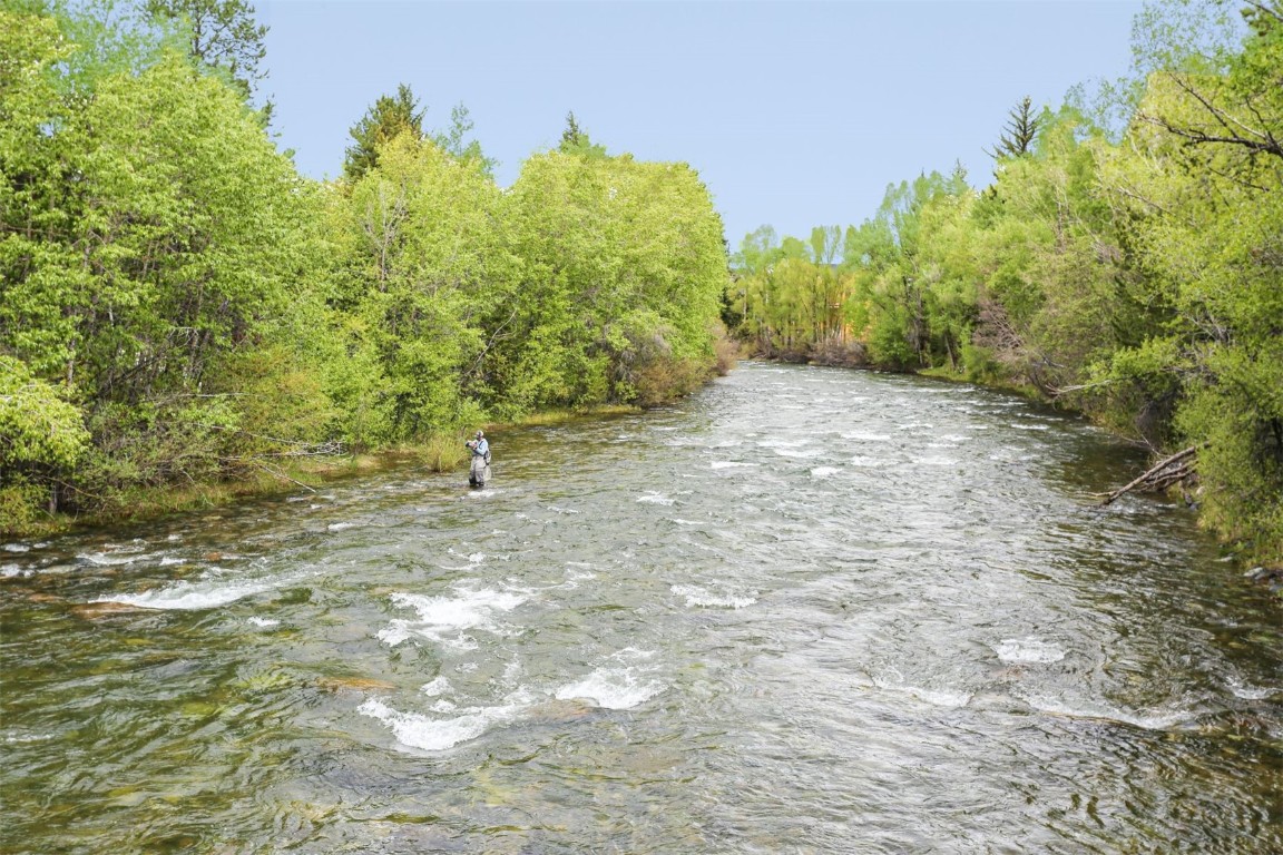 421 Rainbow Drive, Unit 5 Silverthorne, CO 80498 - Photo 33 of 36 a backyard of a house with lots of green space