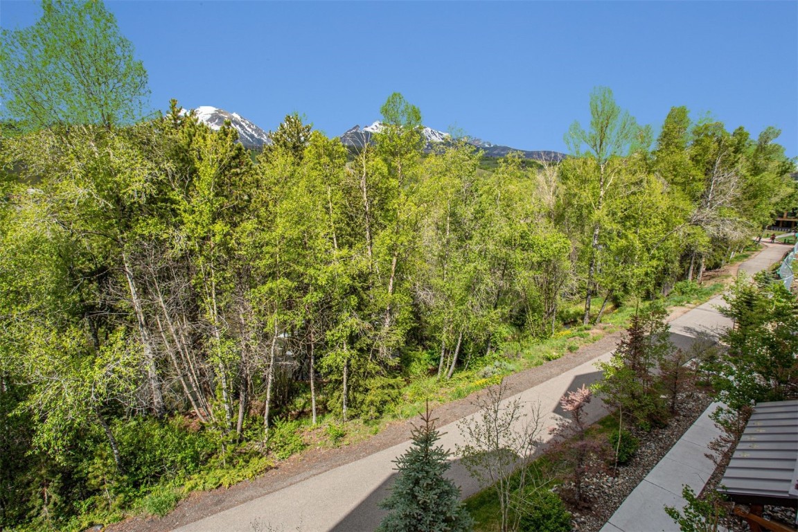 421 Rainbow Drive, Unit 5 Silverthorne, CO 80498 - Photo 4 of 36 a view of a garden with plants