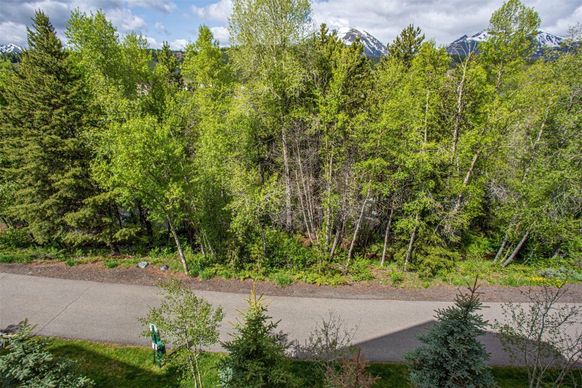 421 Rainbow Drive, Unit 5 Silverthorne, CO 80498 - Photo 5 of 36 a view of a yard with plants and large trees