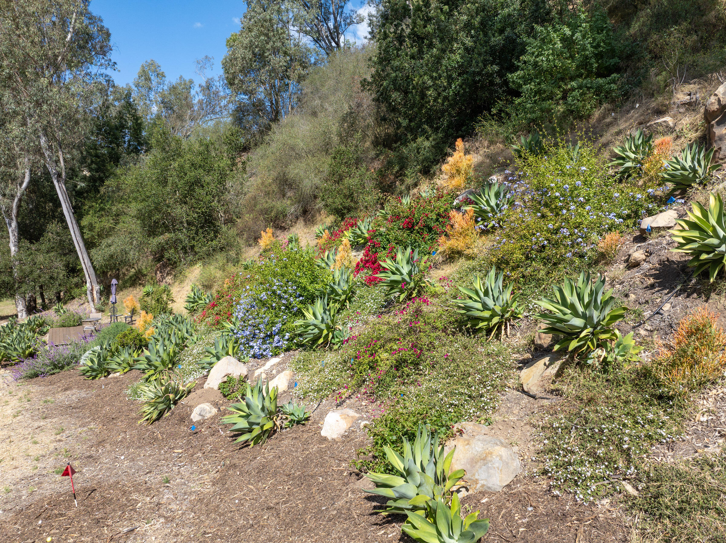 655 Coyote Road Santa Barbara, CA 93108 - Photo 35 of 38 655 Coyote Rd_0019