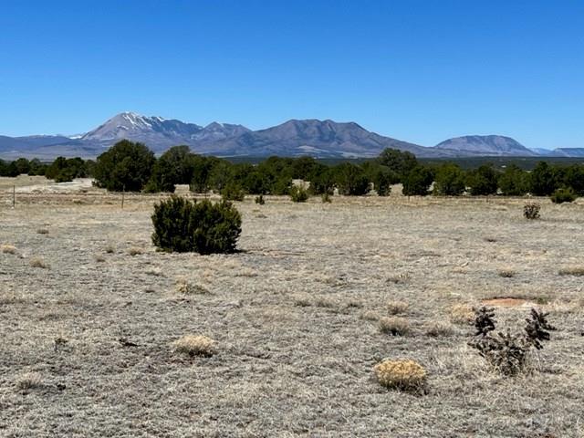 23 River Ridge Trail Walsenburg, CO 81089 - Photo 9 of 18 Gallery Image 9
