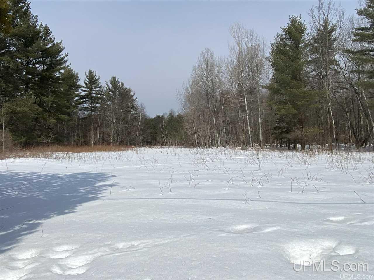 6302 W Krummich Road Manistique, MI 49854 - Photo 10 of 13