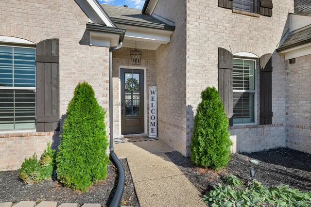 a bunch of plants and brick walls