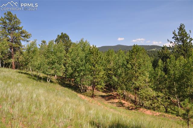 288 Princess Road Cripple Creek, CO 80813 - Photo 3 of 8 Gallery Image 3
