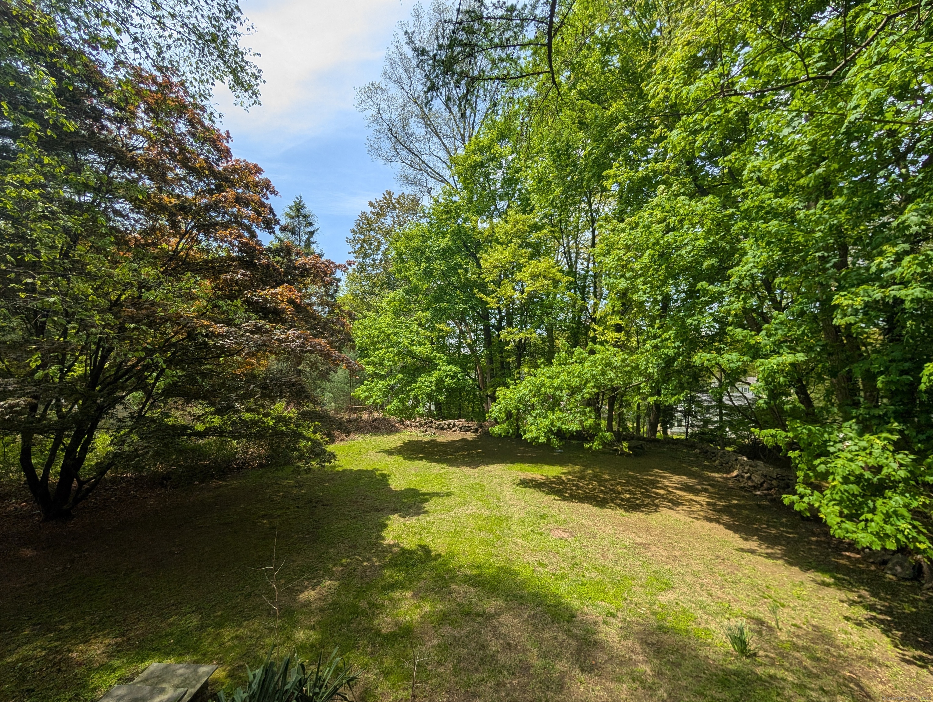 47 Hollow Tree Ridge Road Darien, CT 06820 - Photo 35 of 40 a view of outdoor space and yard