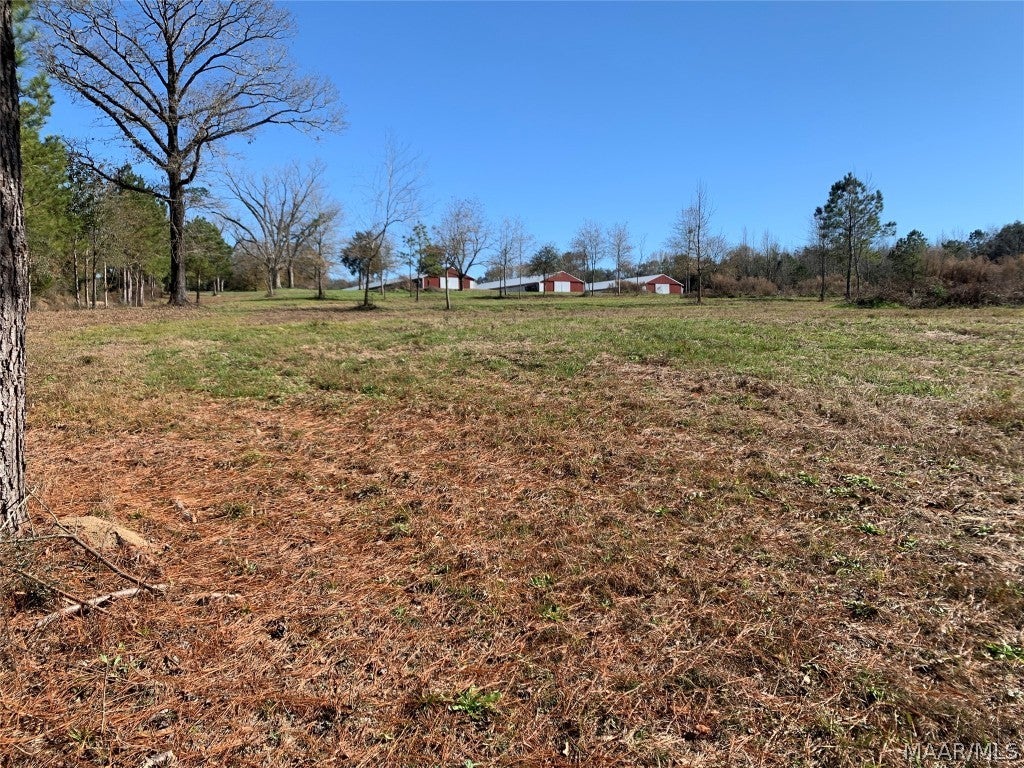 2799 Alford Road Samson, AL 36477 - Photo 20 of 35 Gallery Image 20