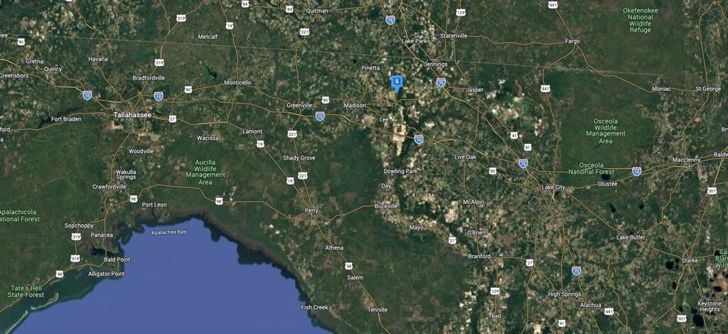 1177 Northeast Blue Ridge Landing Avenue Lee, FL 32059 - Photo 5 of 5