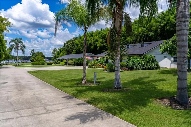 a view of a flower in a garden