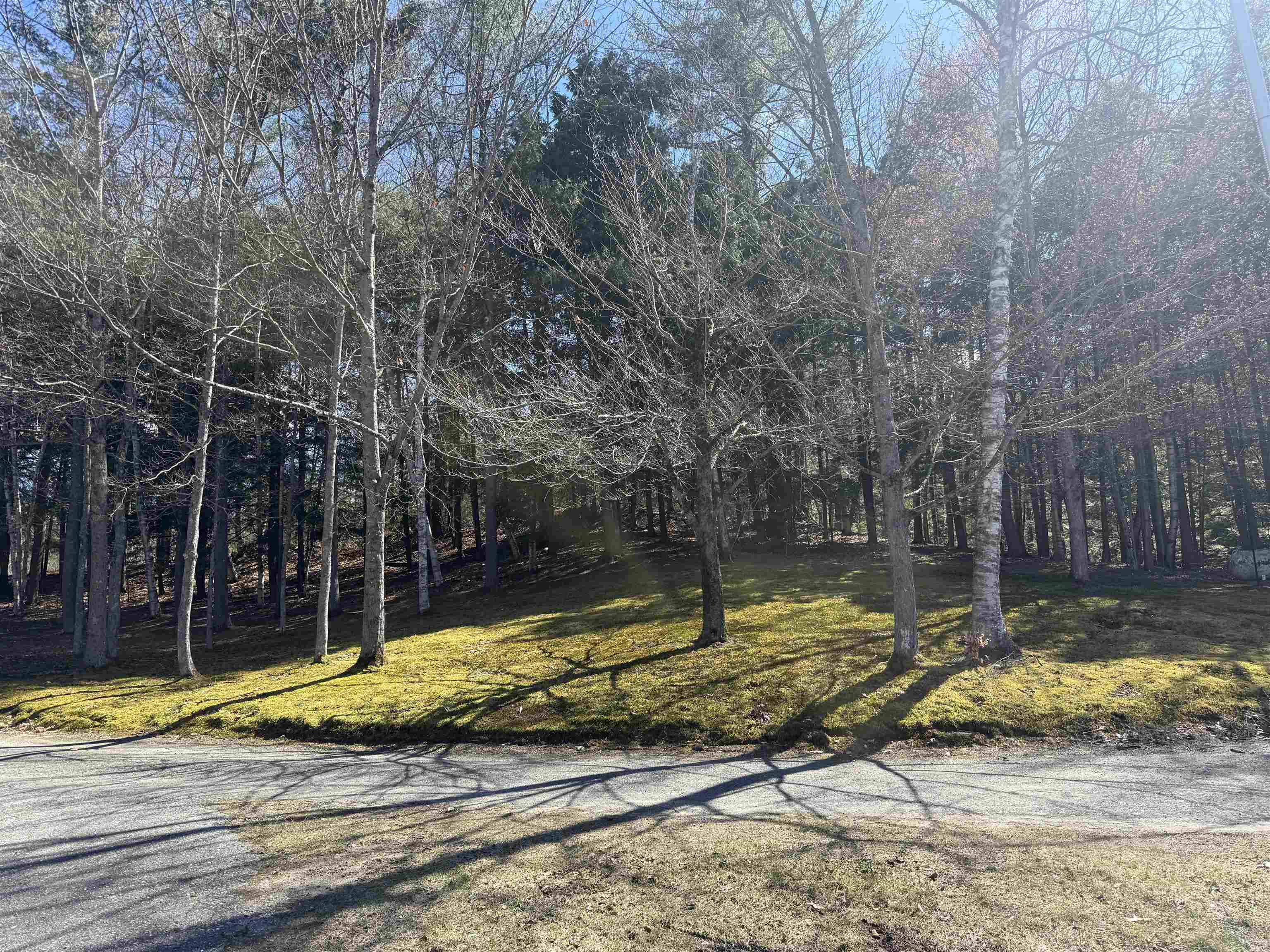 175 Pleasant Valley Road Springfield, VT 05156 - Photo 19 of 19
