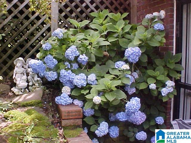 1113 Leonard Road Fultondale, AL 35068 - Photo 22 of 22