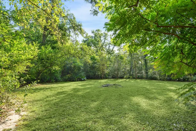 a view of a grassy field with trees in the background
