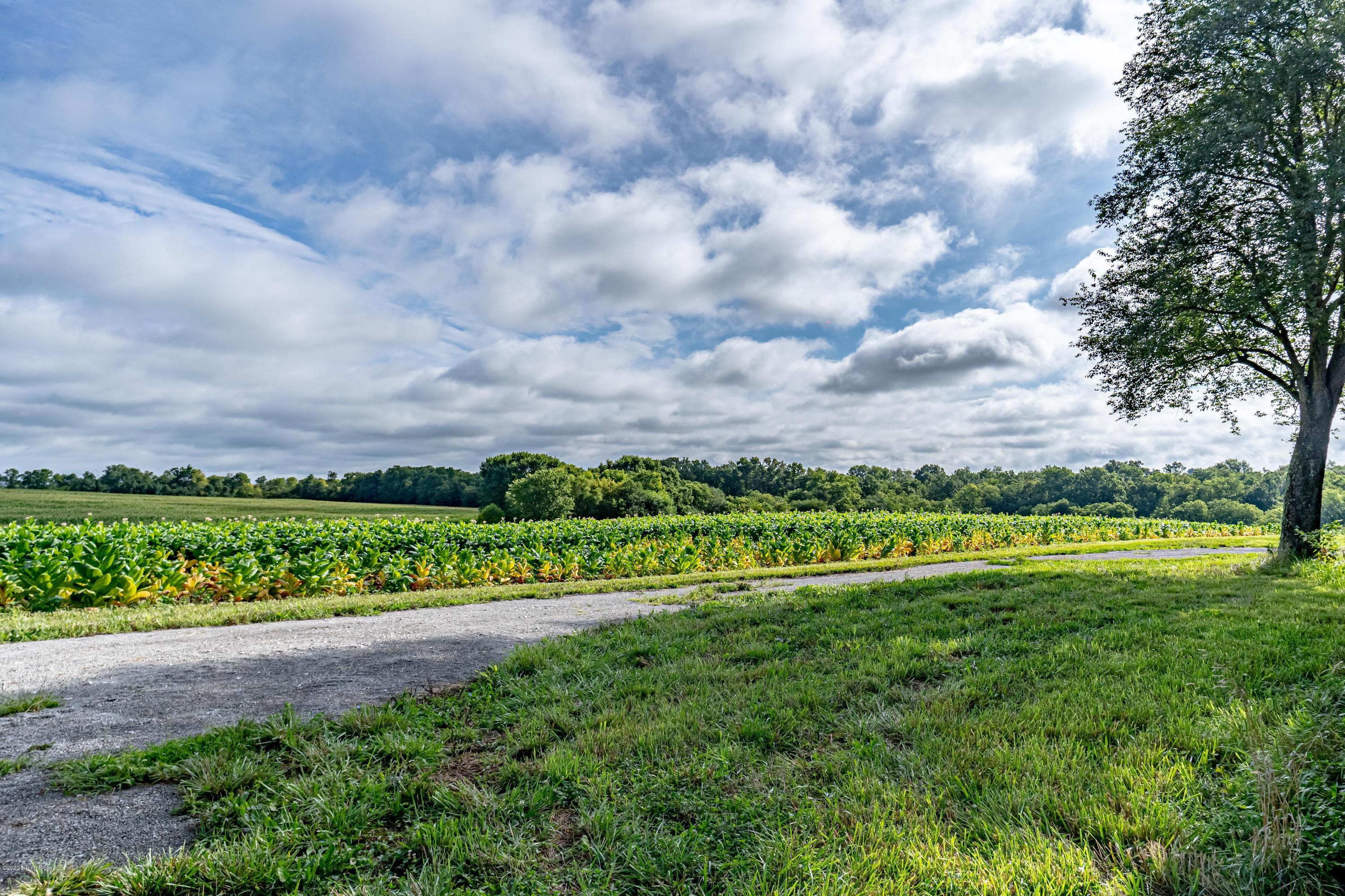 0 Cropper Road Shelbyville, KY 40065 - Photo 24 of 30 Crops