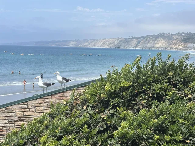 $18,000,000 | 1920 Spindrift Drive, La Jolla, CA 92037