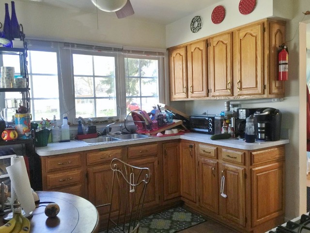 1415 Eagle Street Naperville, IL 60563 - Photo 5 of 15
