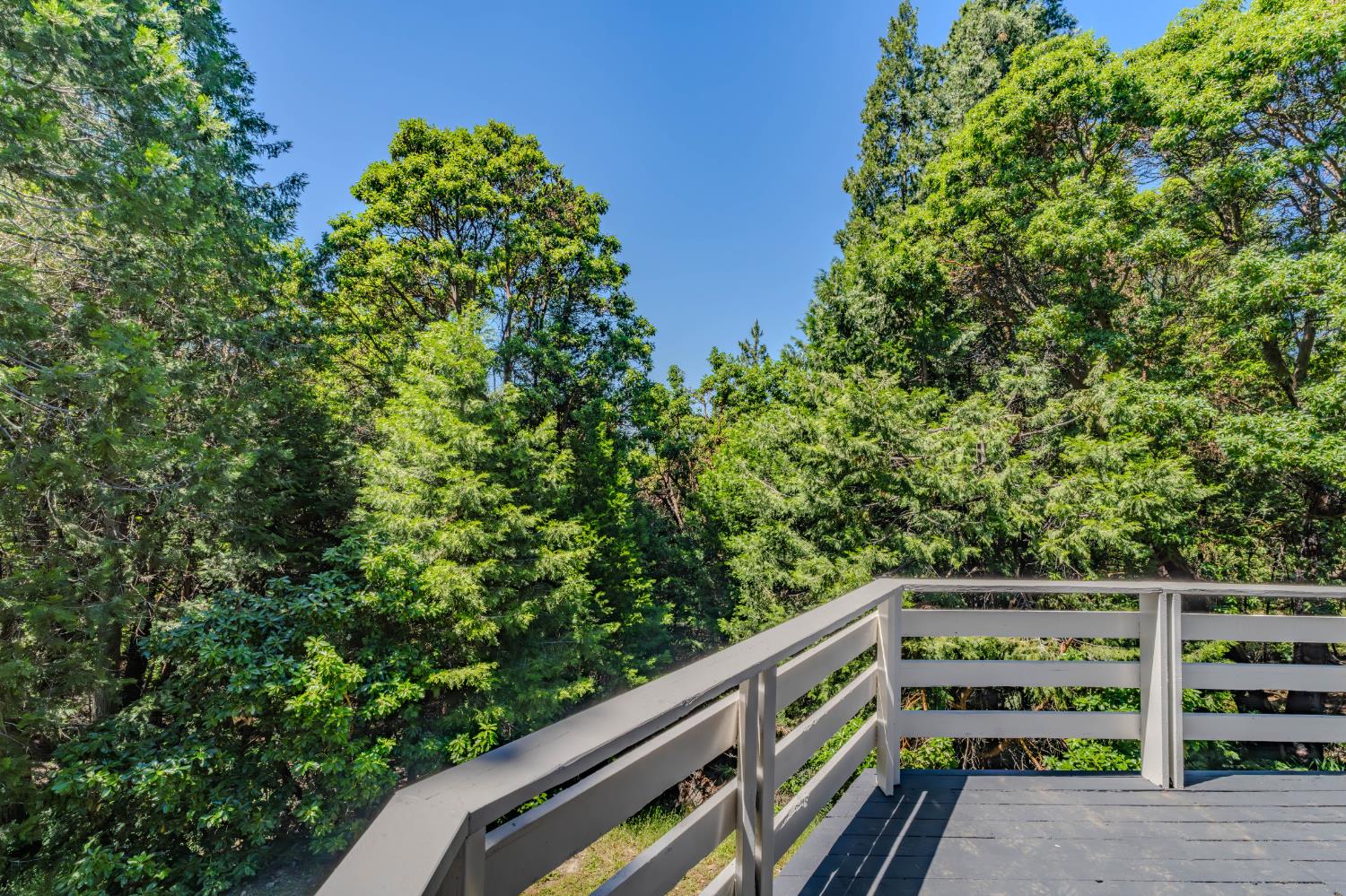 15853 Schaefer Ranch Road Pioneer, CA 95666 - Photo 50 of 68
