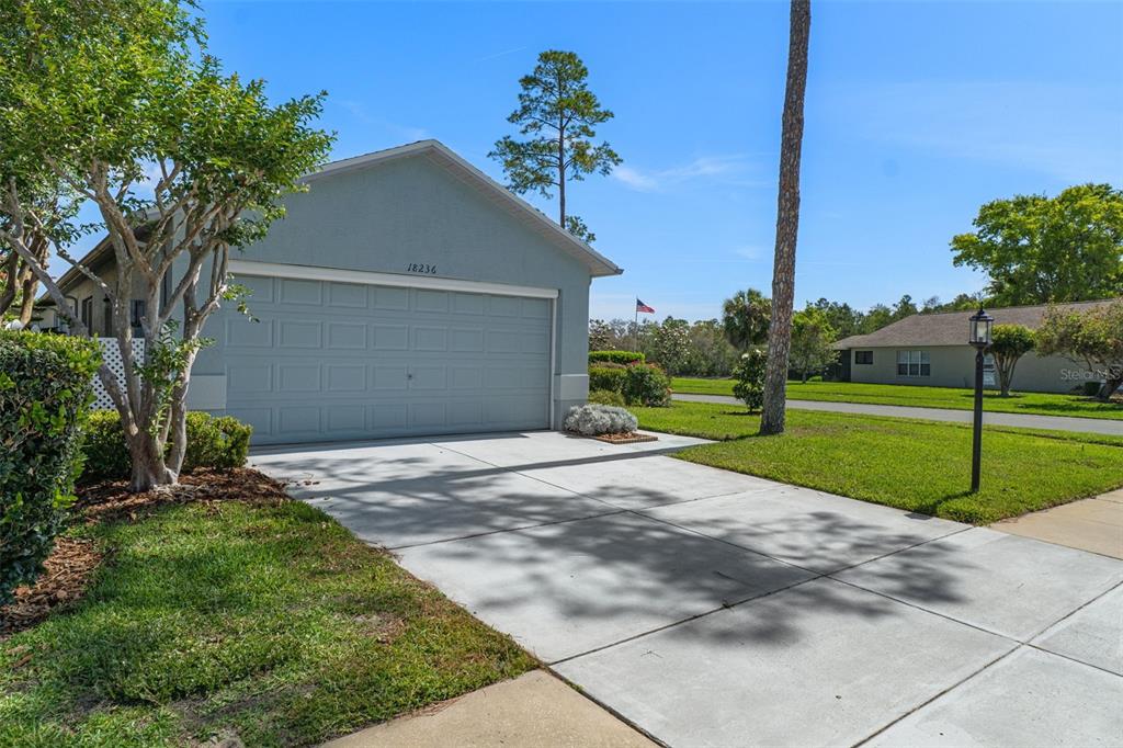 18236 Webster Grove Drive Hudson, FL 34667 - Photo 3 of 50