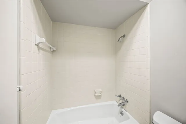 a view of a backyard with plants and large trees