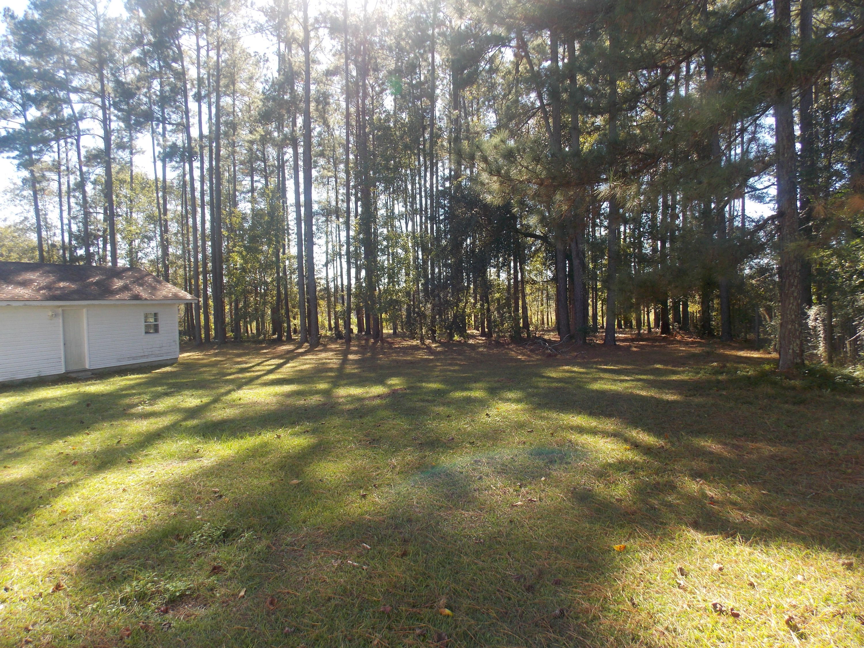 1462 Second Texas Road St. George, SC 29477 - Photo 22 of 22 1462 back lot