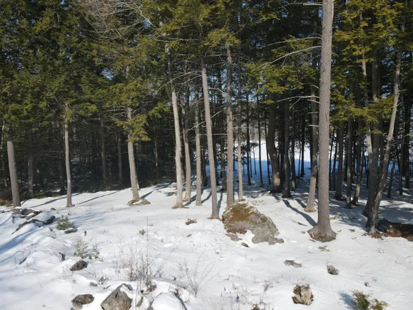 $1,250,000 | 24 Martins Lane, Glenburn, ME 04401