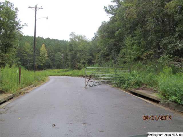0 Lock 4 Road, Unit 3 PARCEL Lincoln, AL 35096 - Photo 8 of 10