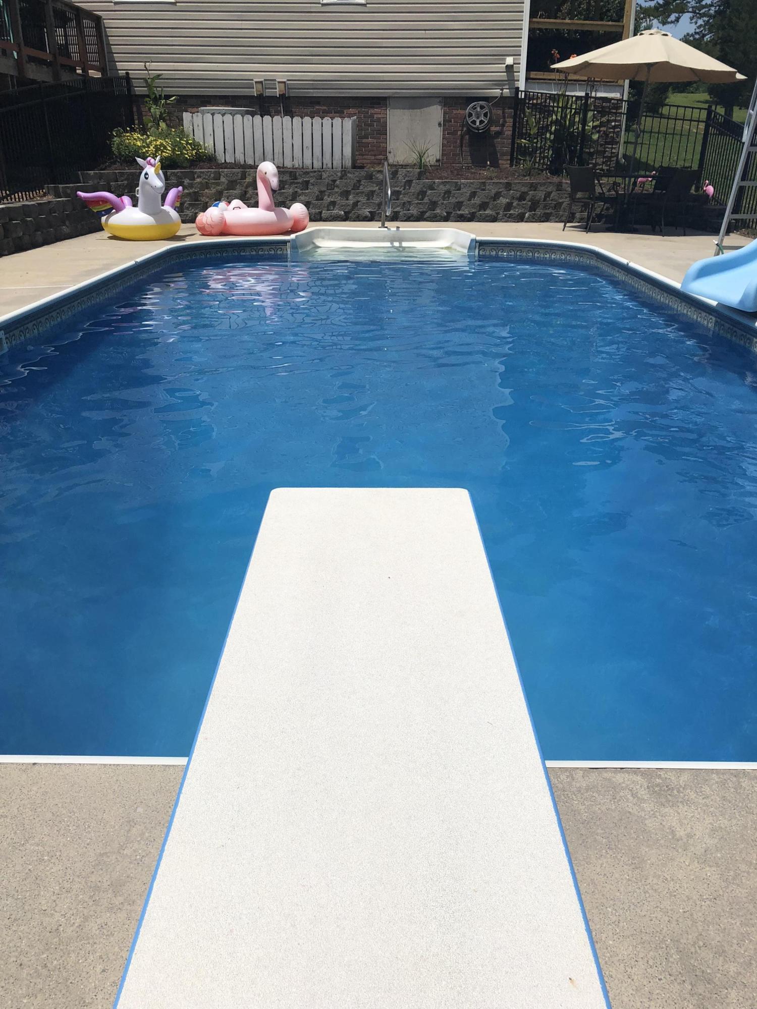 161 Potter Place Road Northwest Charleston, TN 37310 - Photo 41 of 53 DIVING BOARD