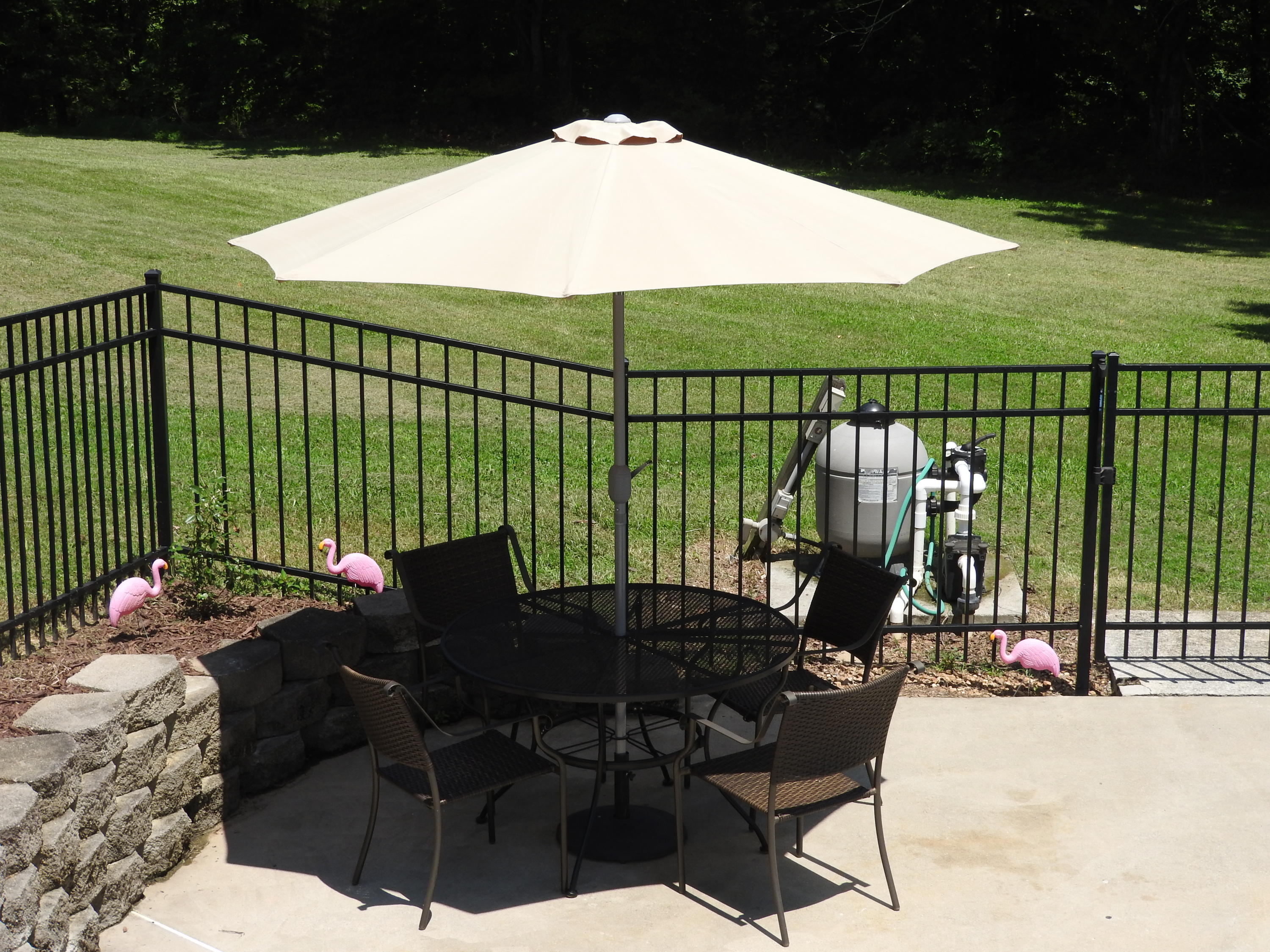 161 Potter Place Road Northwest Charleston, TN 37310 - Photo 42 of 53 POOL DECK