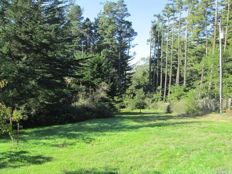 41305 Eureka Hill Road Point Arena, CA 95468 - Photo 1 of 1 a view of a park