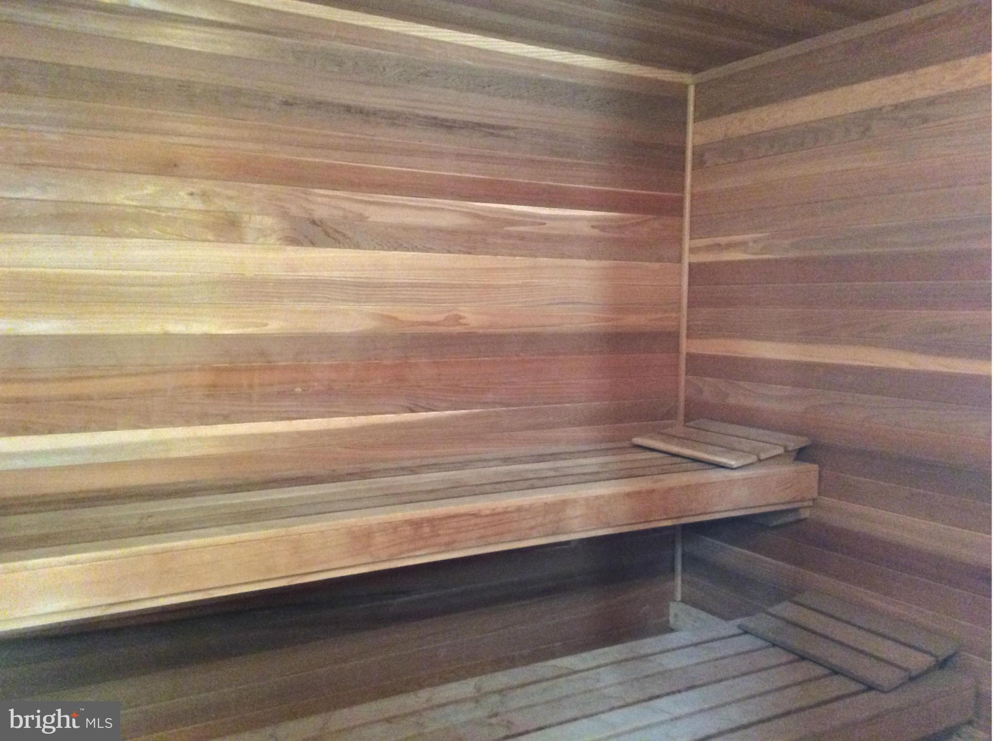 123 Little Neck Road Stevensville, MD 21666 - Photo 23 of 29 Sauna